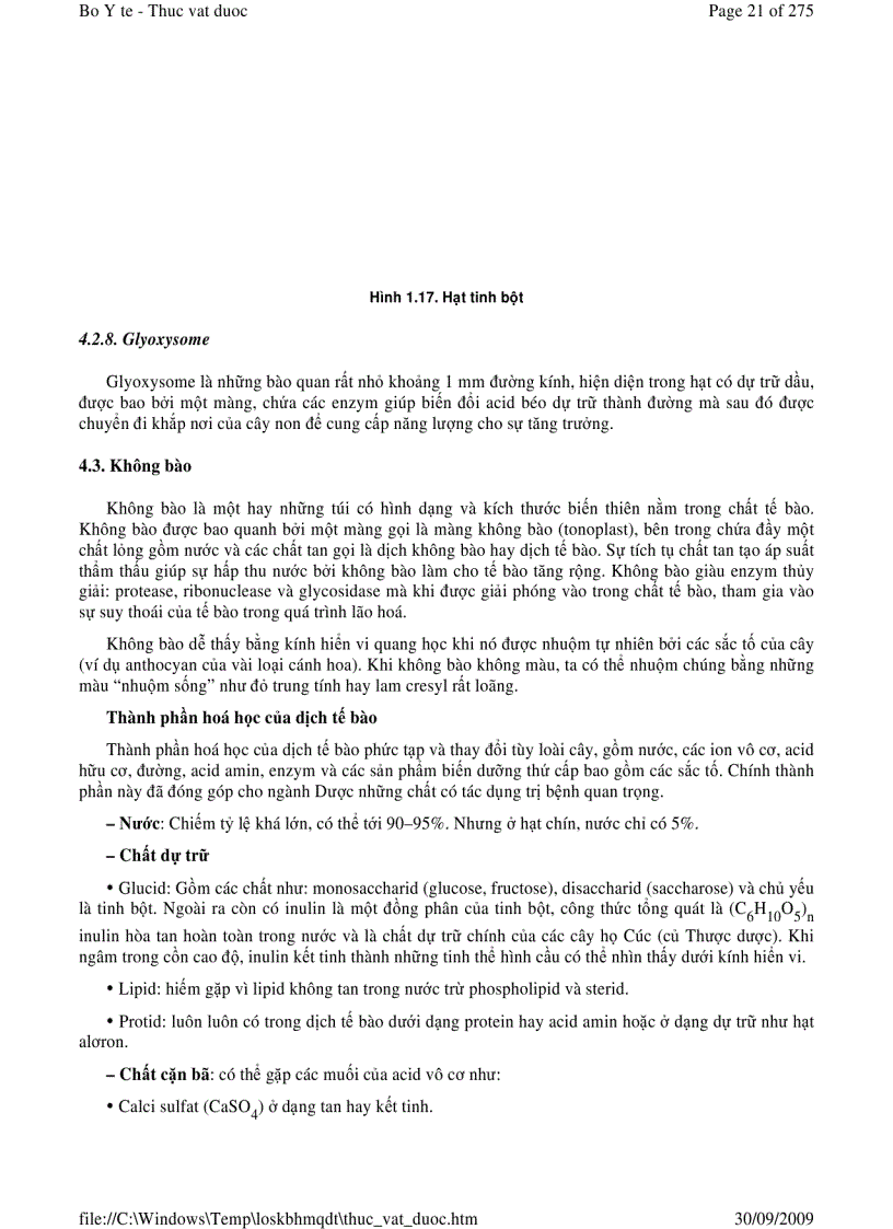 image for page Thực vật dược