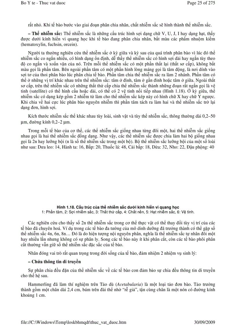 image for page Thực vật dược