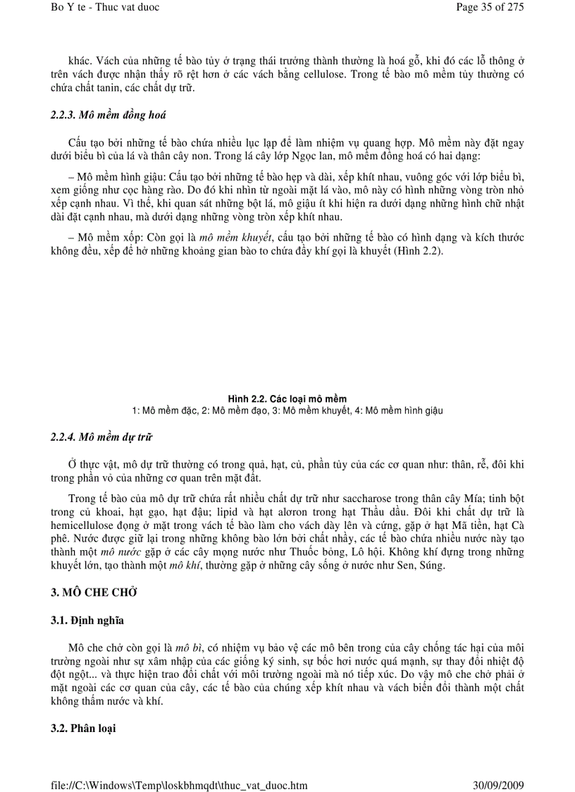 image for page Thực vật dược