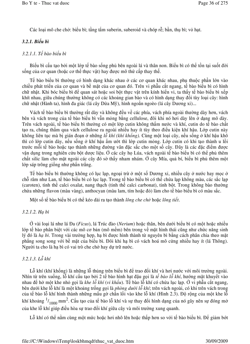 image for page Thực vật dược