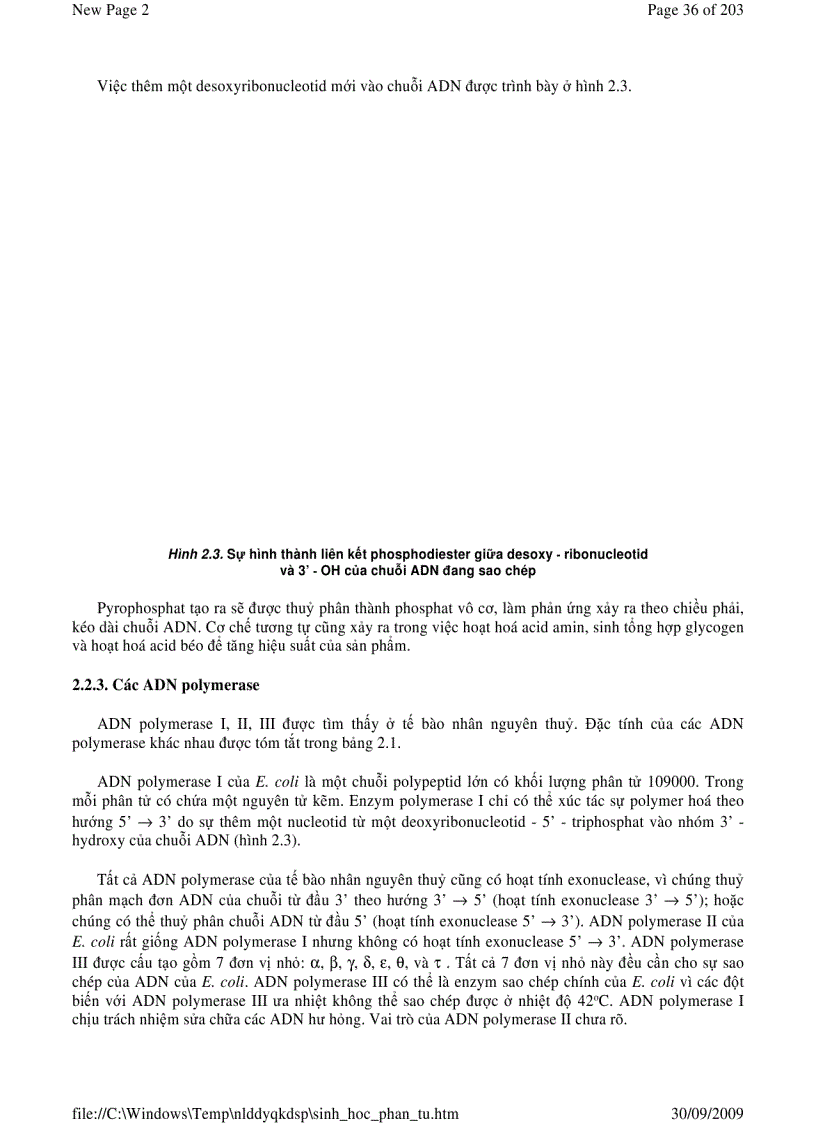 image for page Sinh Học Phân Tử