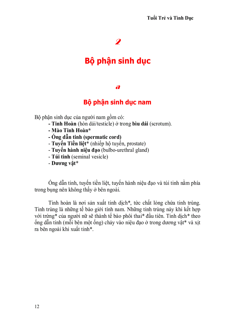 image for page Tuổi trẻ và tình dục