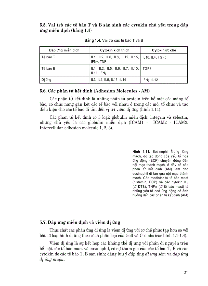 image for page Nội bệnh lý Dị ứng Miễn dịch lâm sàng