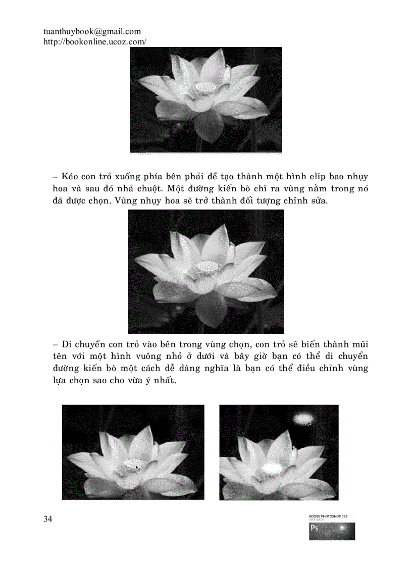 image for page Sách hướng dẫn học Adobe Photoshop CS3