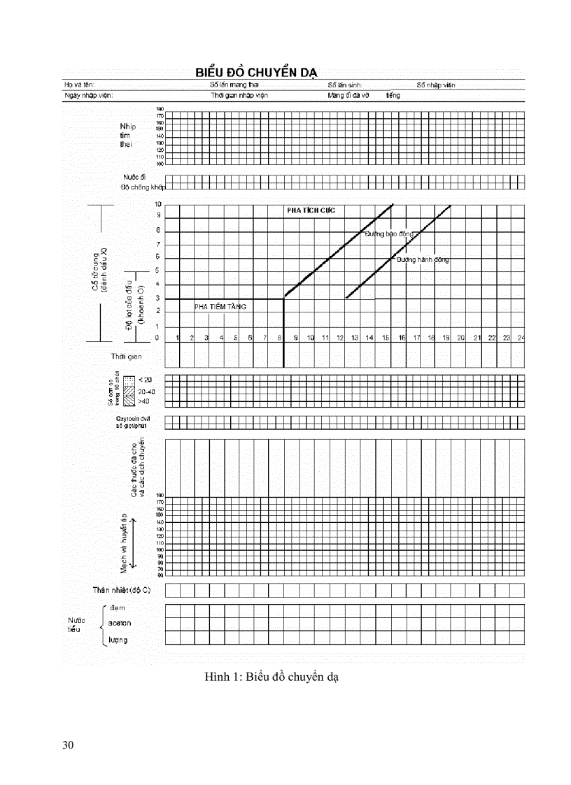 image for page Kỹ năng tiền lâm sàng