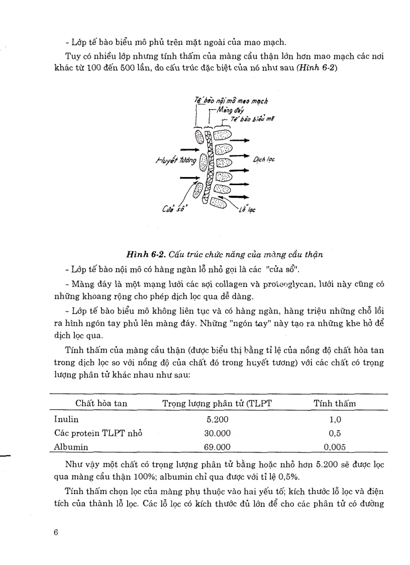 image for page Sinh lý y học