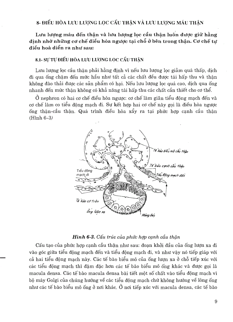 image for page Sinh lý y học