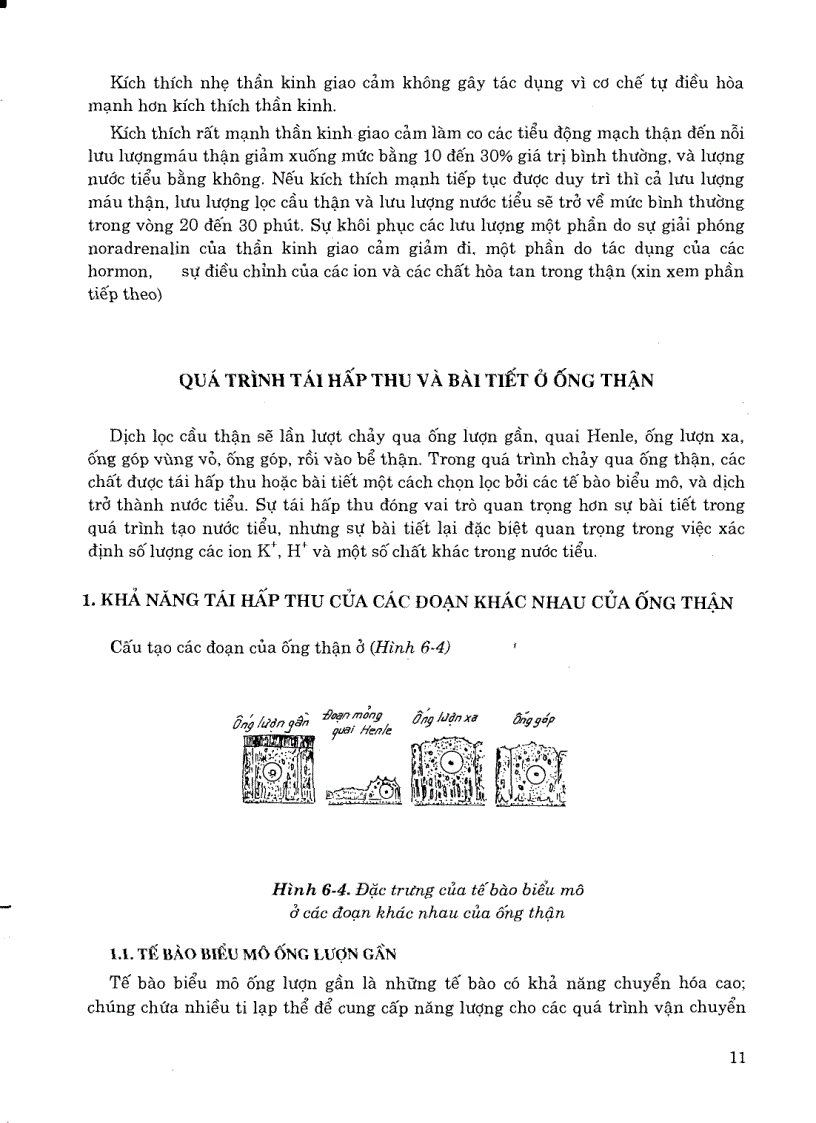 image for page Sinh lý y học