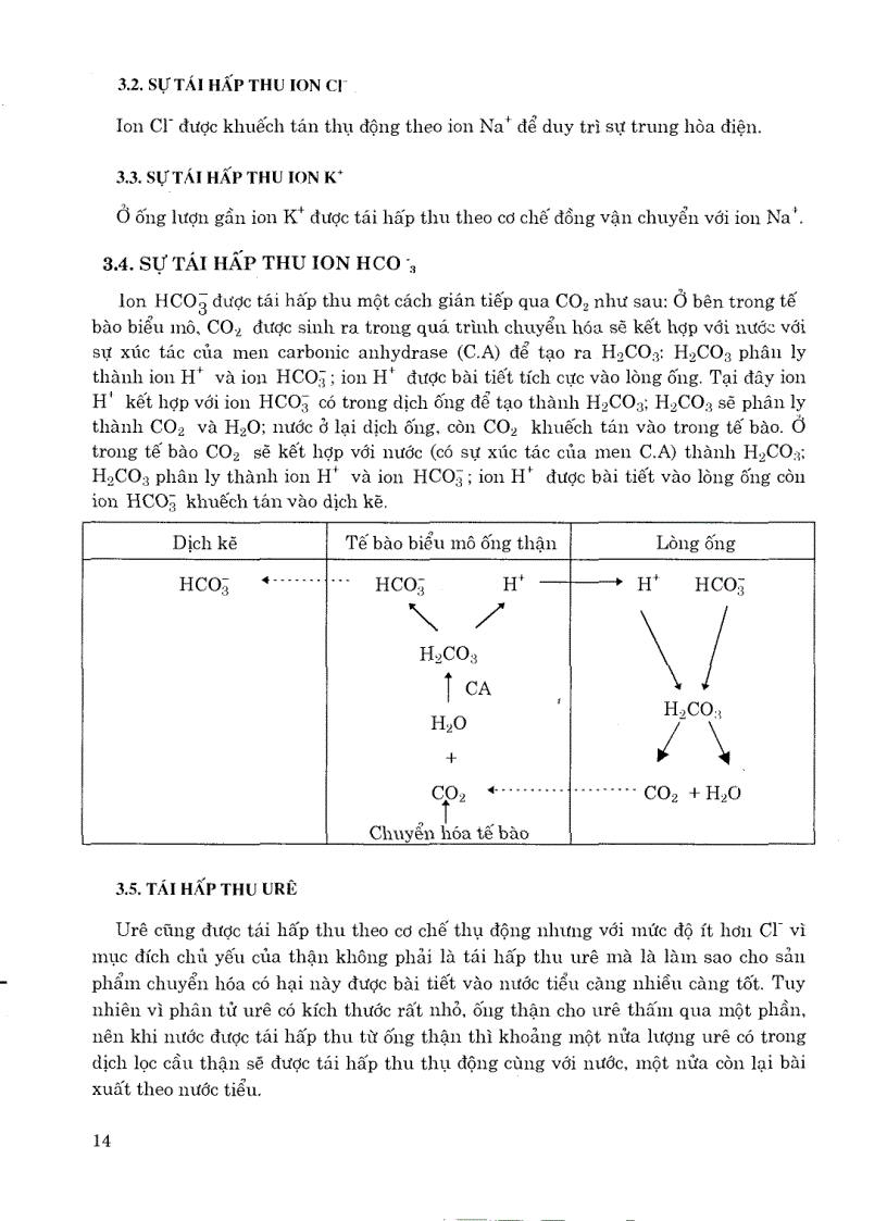 image for page Sinh lý y học