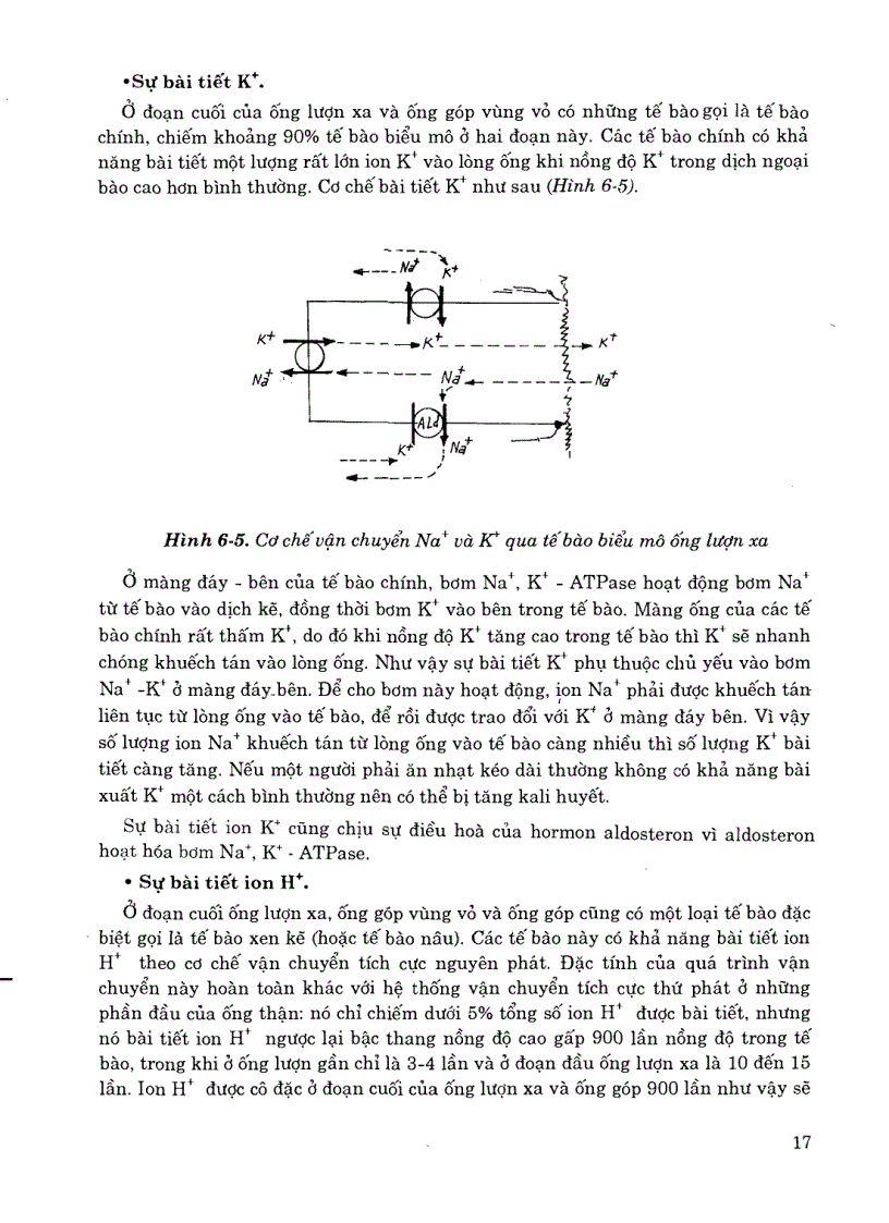 image for page Sinh lý y học