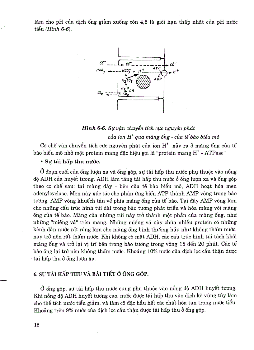 image for page Sinh lý y học