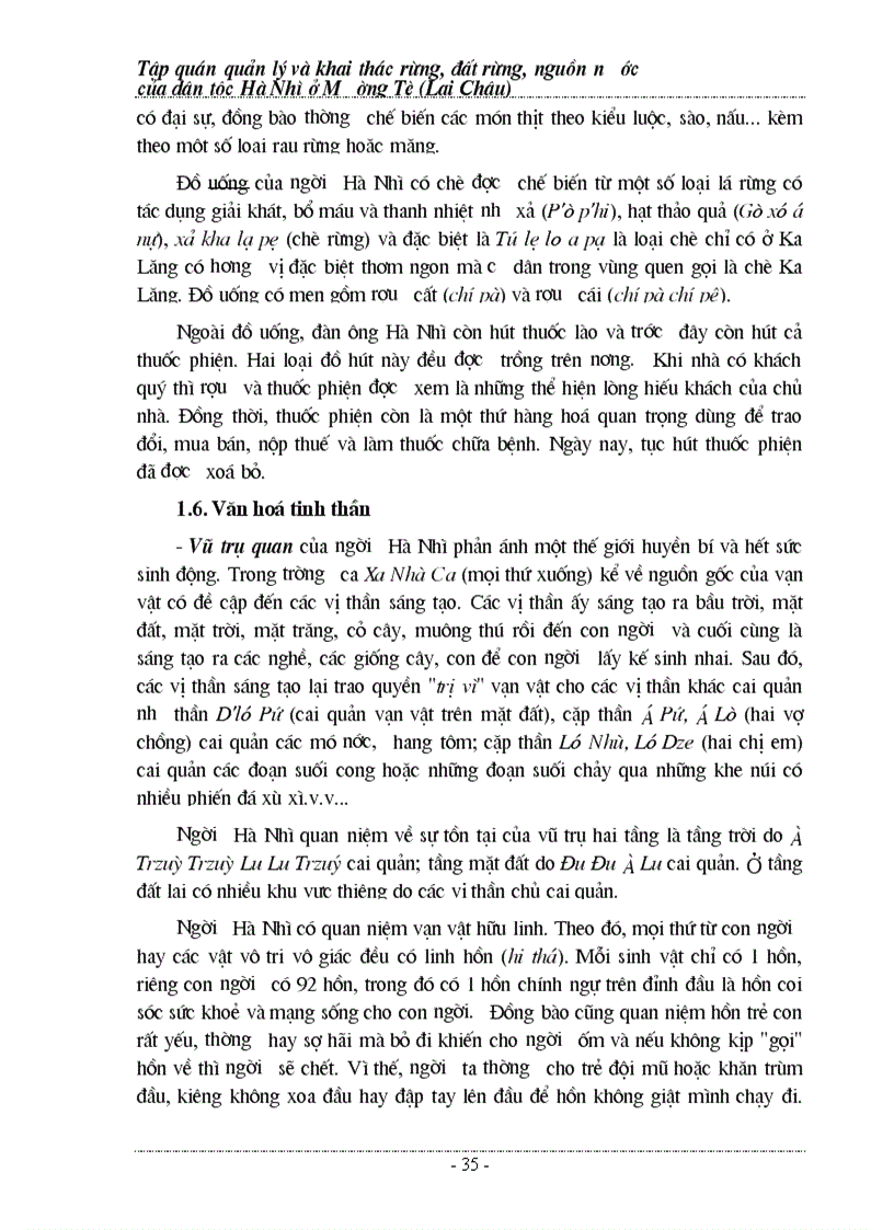 image for page Tập quán quản lý và bảo vệ rừng người Hà Nhì
