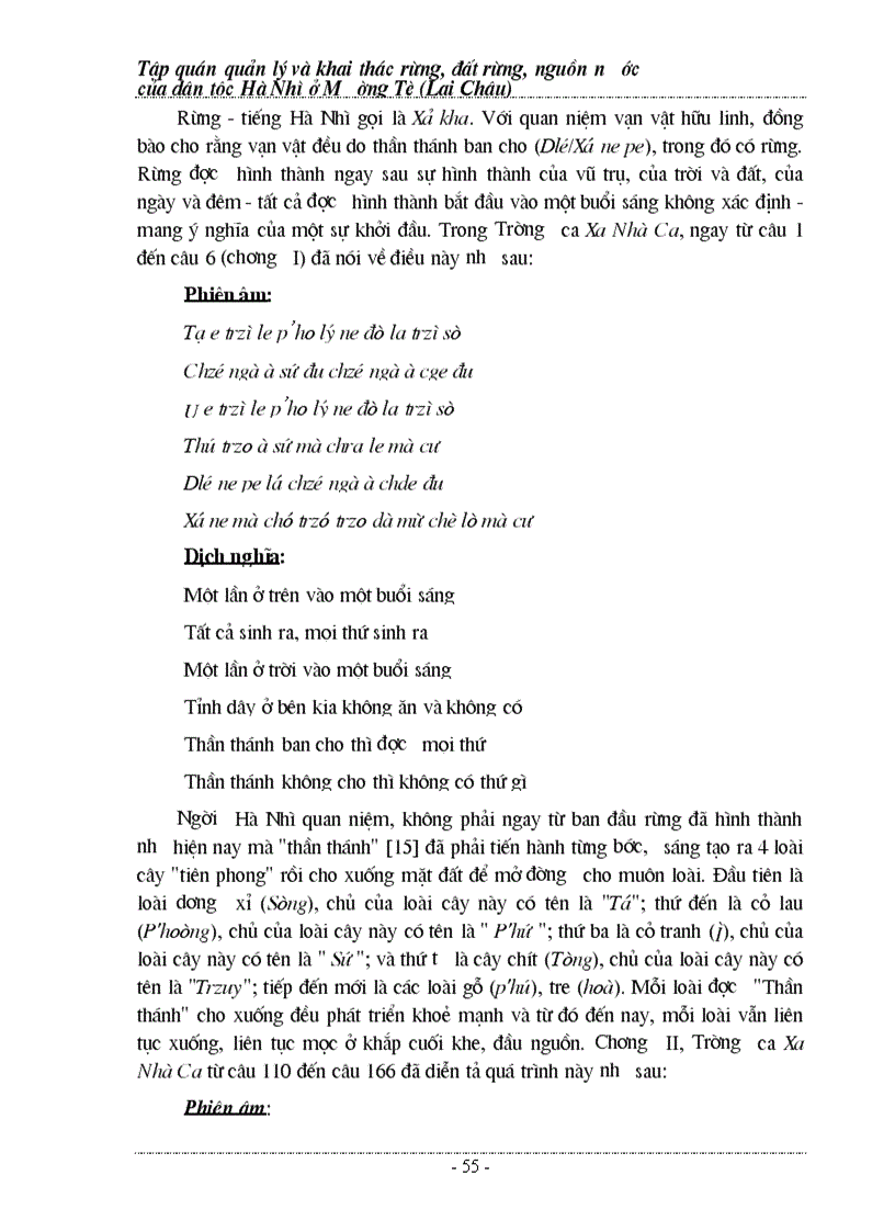 image for page Tập quán quản lý và bảo vệ rừng người Hà Nhì