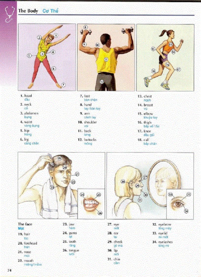 image for page Chapter 2 học tiếng anh qua hình ảnh