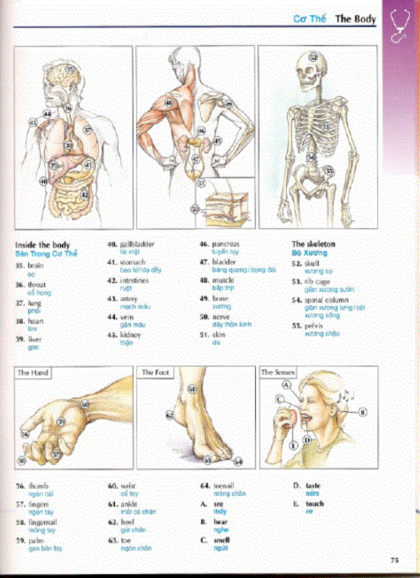 image for page Chapter 2 học tiếng anh qua hình ảnh