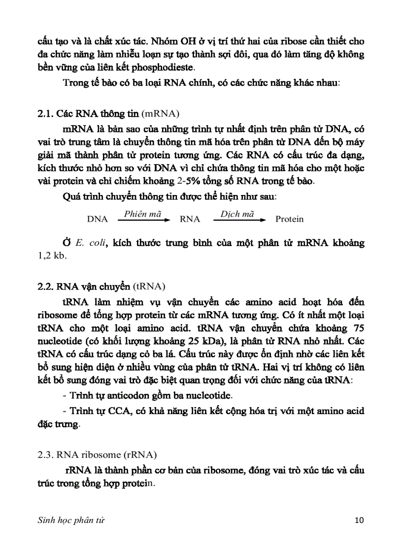 image for page SINH HỌC PHÂN TỬ PGS TS nguyễn hoàng lộc