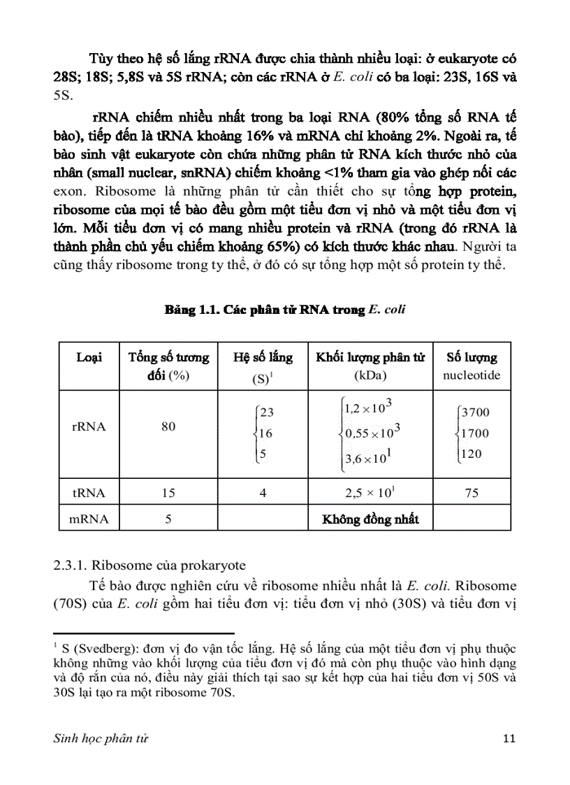 image for page SINH HỌC PHÂN TỬ PGS TS nguyễn hoàng lộc