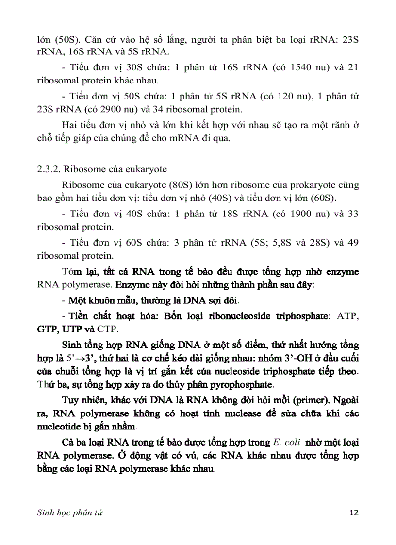 image for page SINH HỌC PHÂN TỬ PGS TS nguyễn hoàng lộc