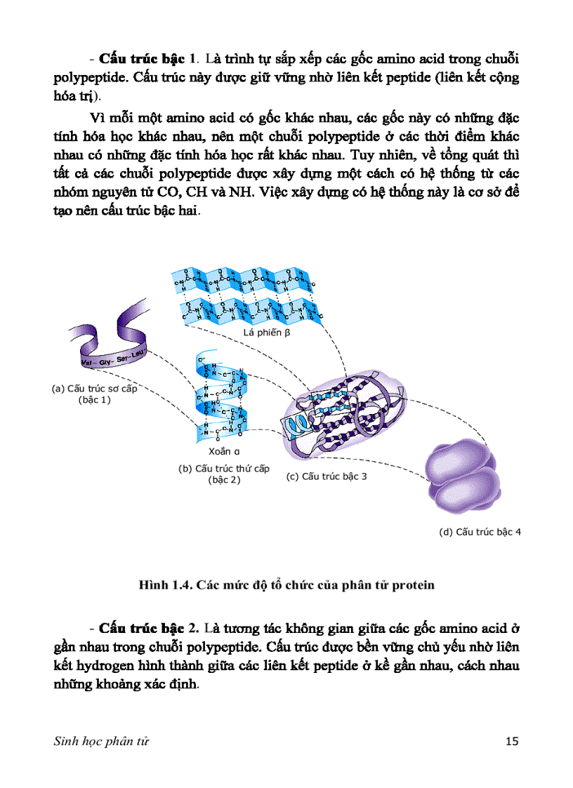image for page SINH HỌC PHÂN TỬ PGS TS nguyễn hoàng lộc