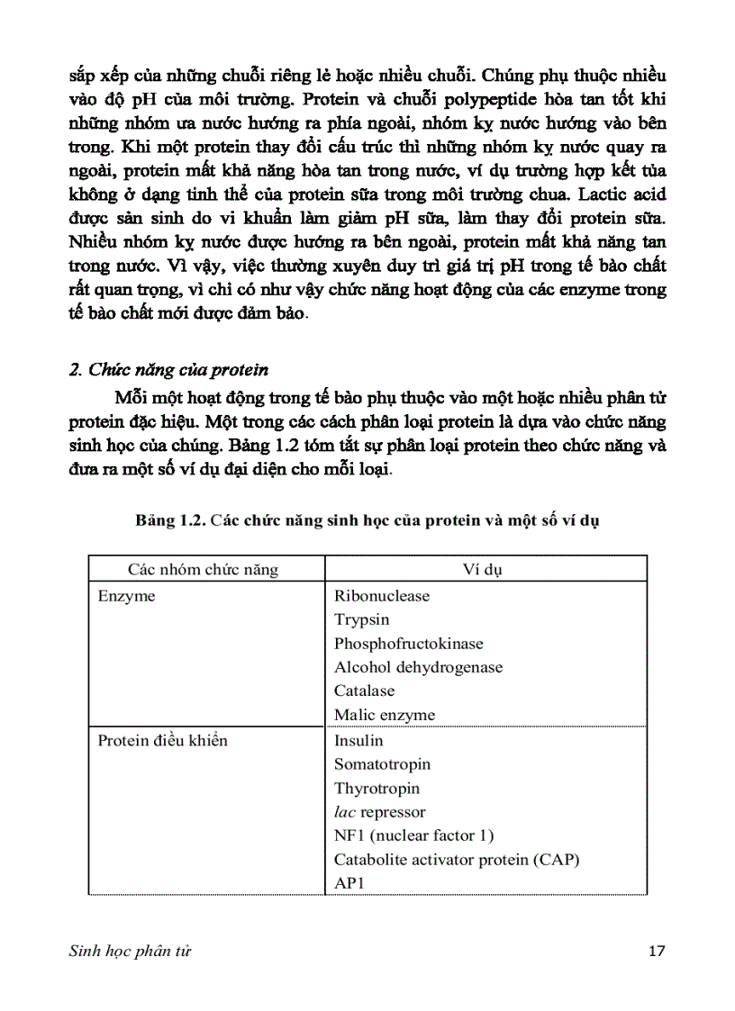image for page SINH HỌC PHÂN TỬ PGS TS nguyễn hoàng lộc