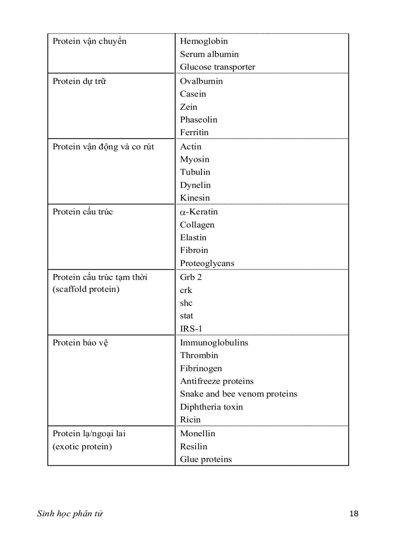 image for page SINH HỌC PHÂN TỬ PGS TS nguyễn hoàng lộc