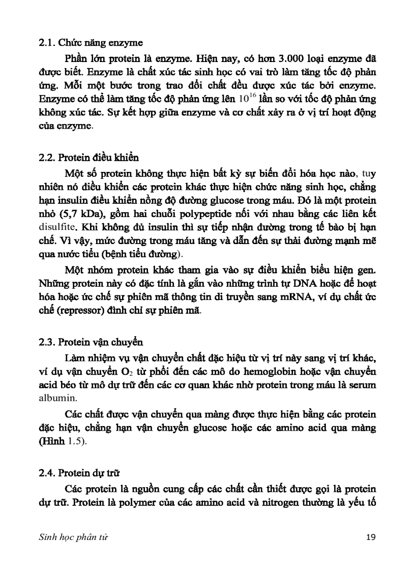 image for page SINH HỌC PHÂN TỬ PGS TS nguyễn hoàng lộc