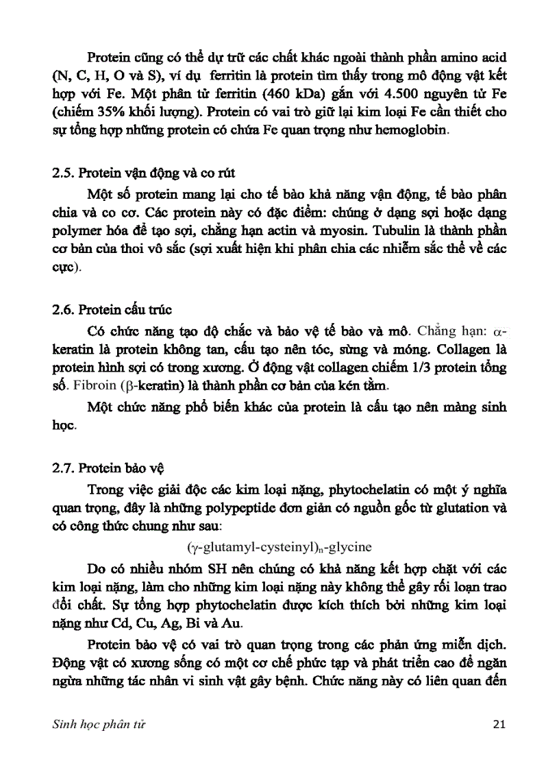 image for page SINH HỌC PHÂN TỬ PGS TS nguyễn hoàng lộc