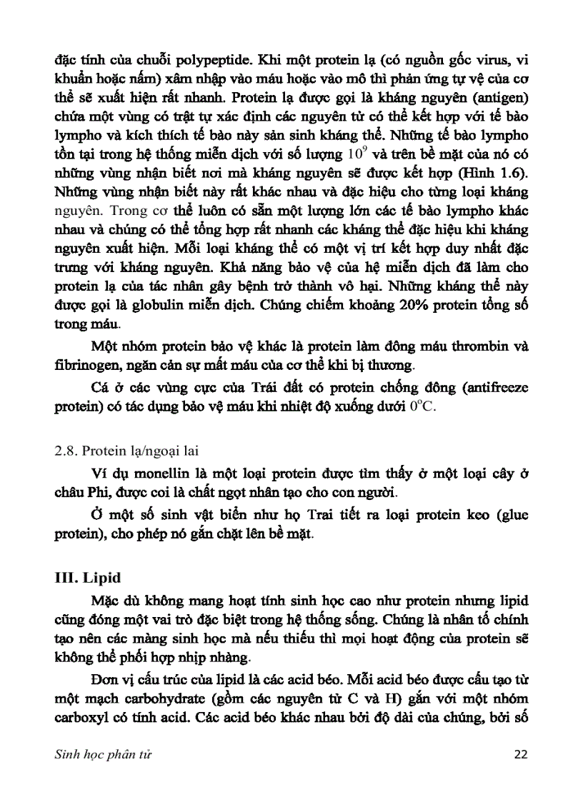 image for page SINH HỌC PHÂN TỬ PGS TS nguyễn hoàng lộc