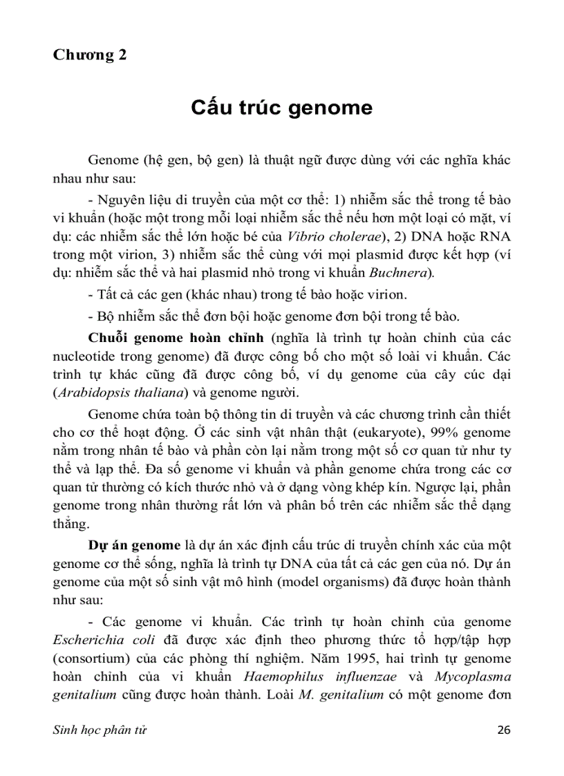 image for page SINH HỌC PHÂN TỬ PGS TS nguyễn hoàng lộc