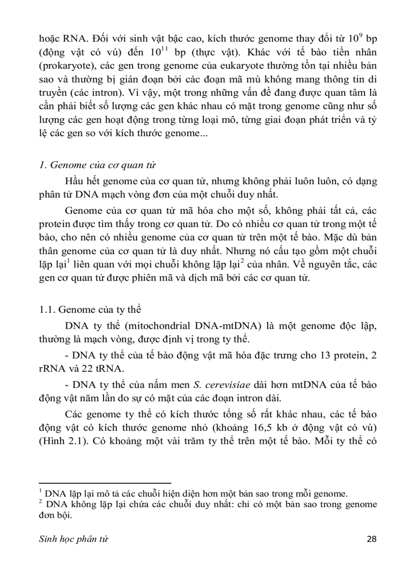 image for page SINH HỌC PHÂN TỬ PGS TS nguyễn hoàng lộc