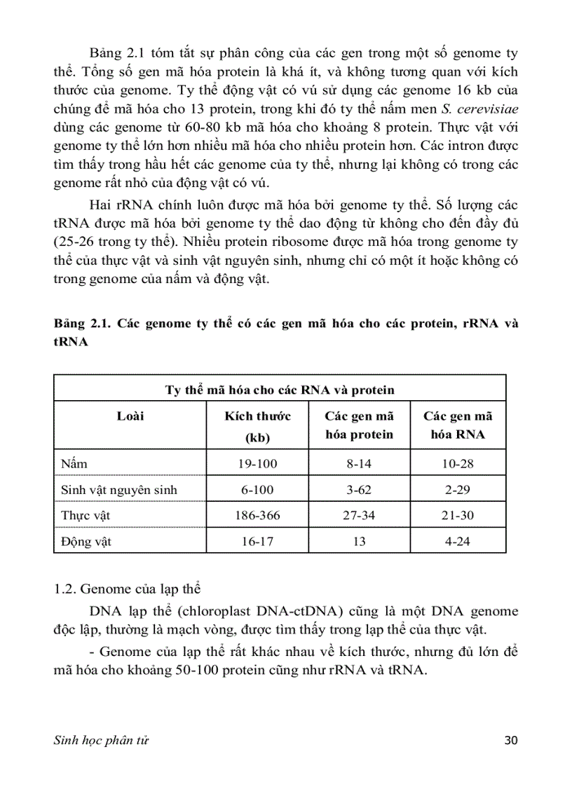 image for page SINH HỌC PHÂN TỬ PGS TS nguyễn hoàng lộc