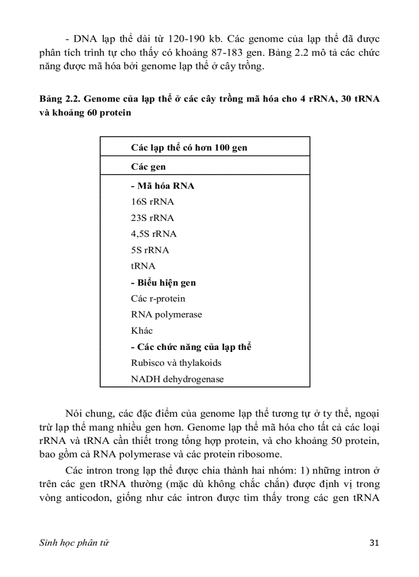image for page SINH HỌC PHÂN TỬ PGS TS nguyễn hoàng lộc