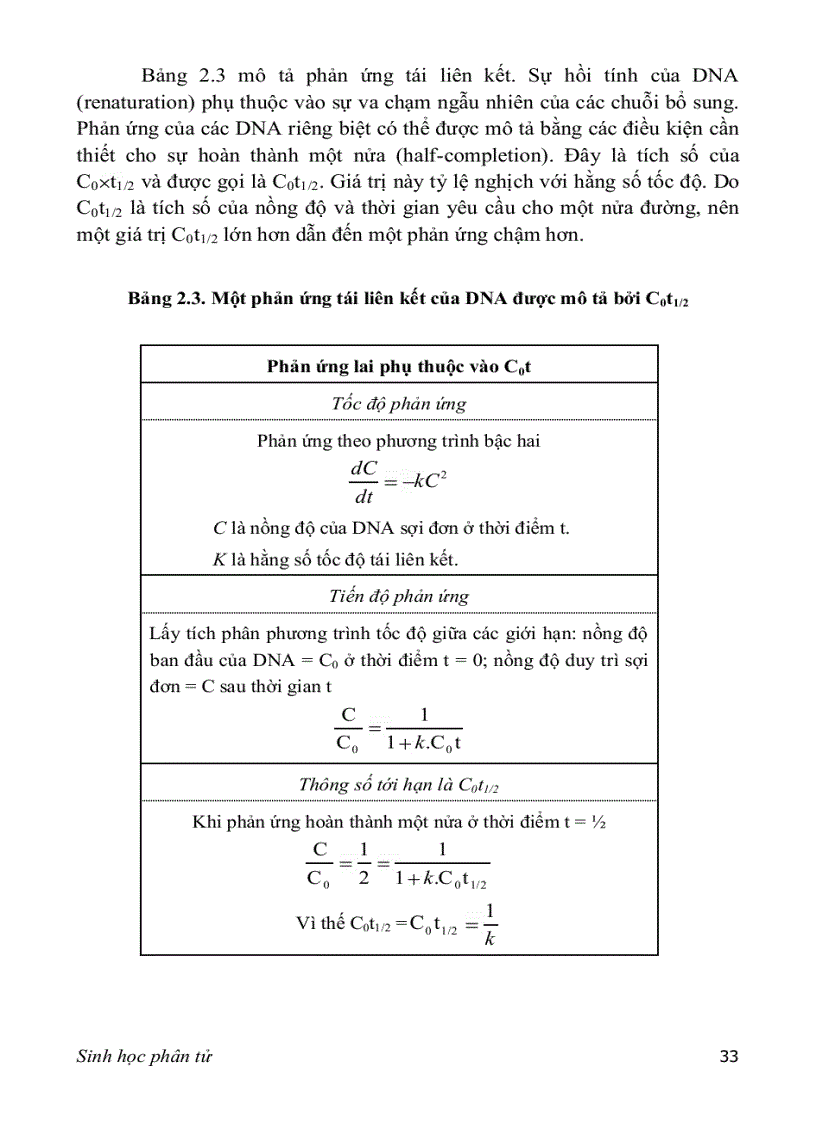 image for page SINH HỌC PHÂN TỬ PGS TS nguyễn hoàng lộc