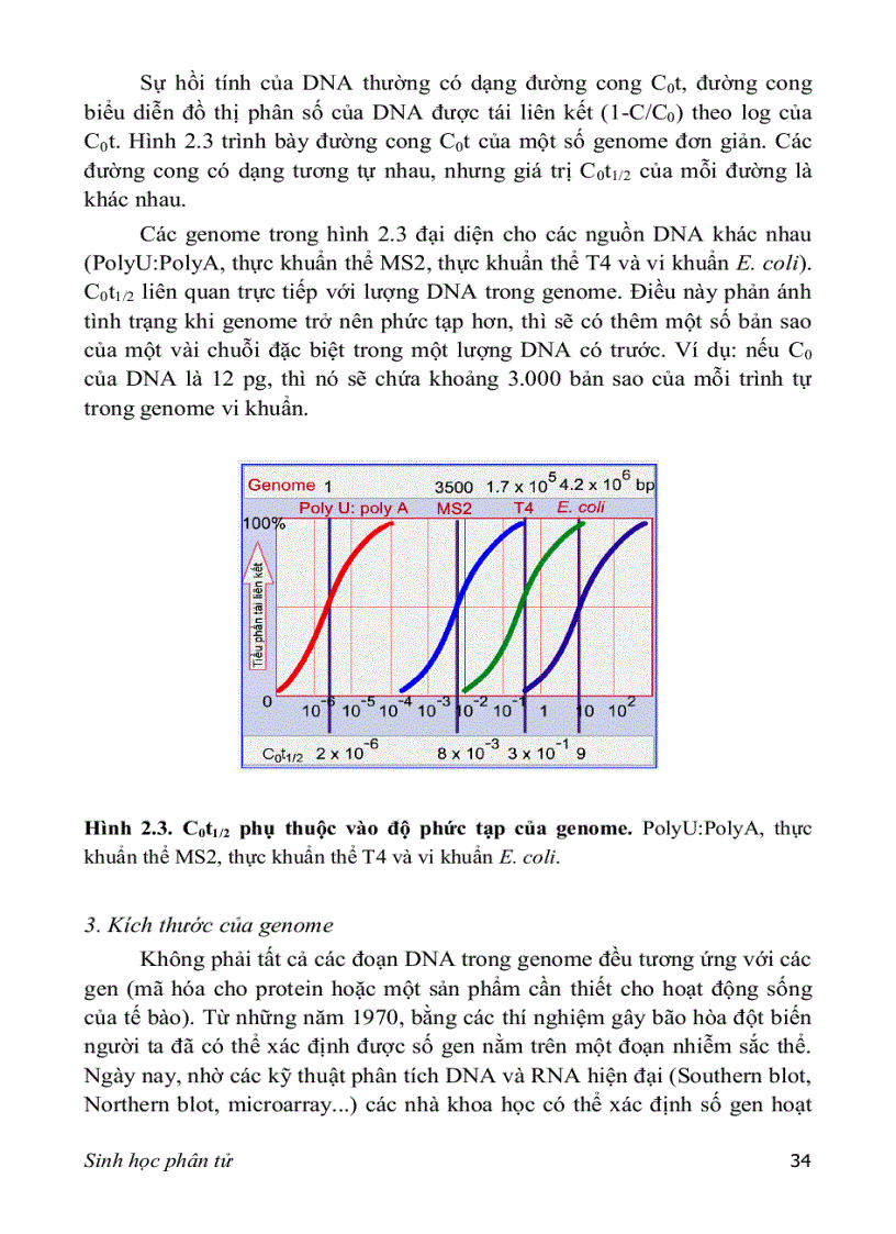 image for page SINH HỌC PHÂN TỬ PGS TS nguyễn hoàng lộc
