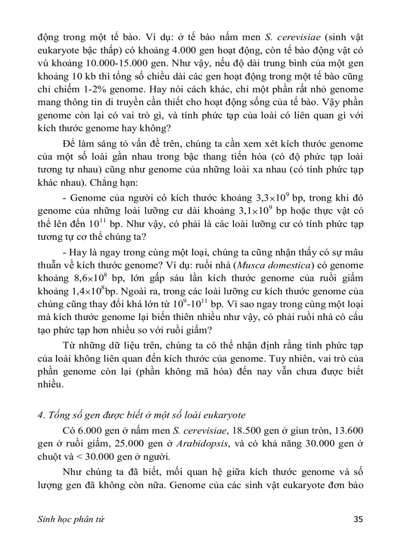 image for page SINH HỌC PHÂN TỬ PGS TS nguyễn hoàng lộc