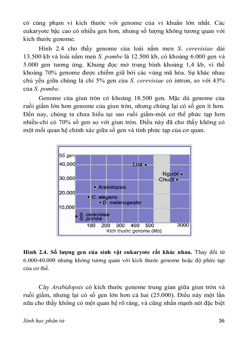 image for page SINH HỌC PHÂN TỬ PGS TS nguyễn hoàng lộc