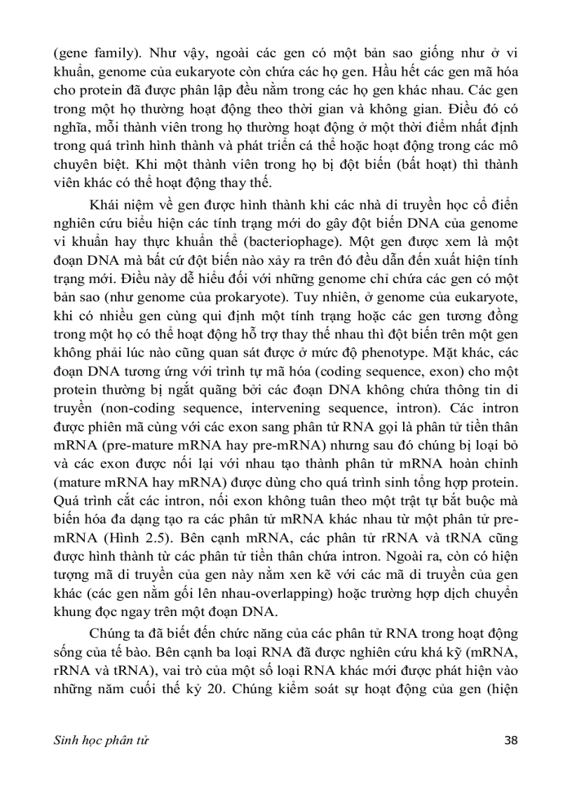 image for page SINH HỌC PHÂN TỬ PGS TS nguyễn hoàng lộc