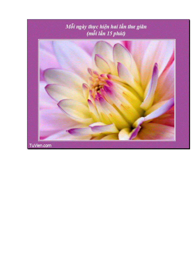 image for page 20 bi quyet de loai tru cang thang