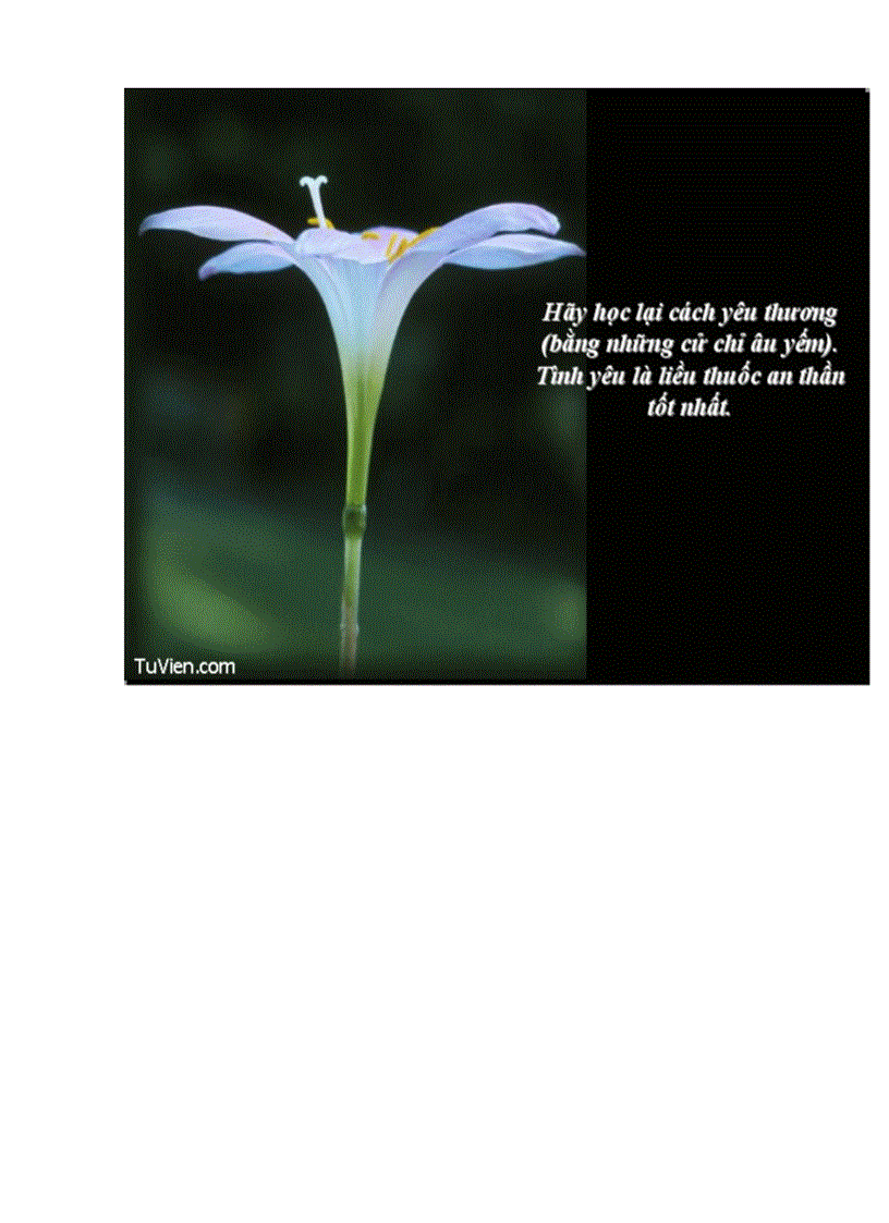 image for page 20 bi quyet de loai tru cang thang