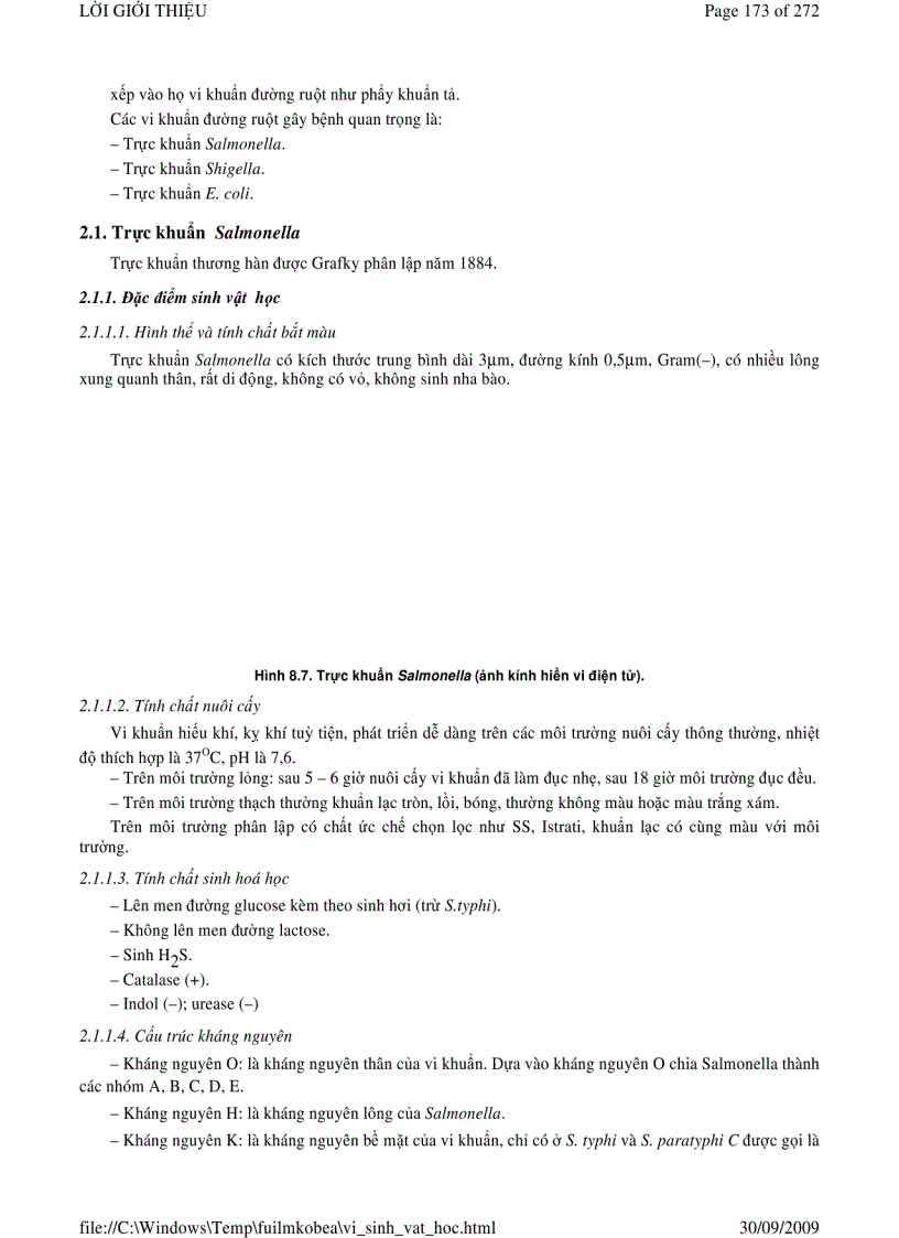 image for page Vi sinh vật học phần 2