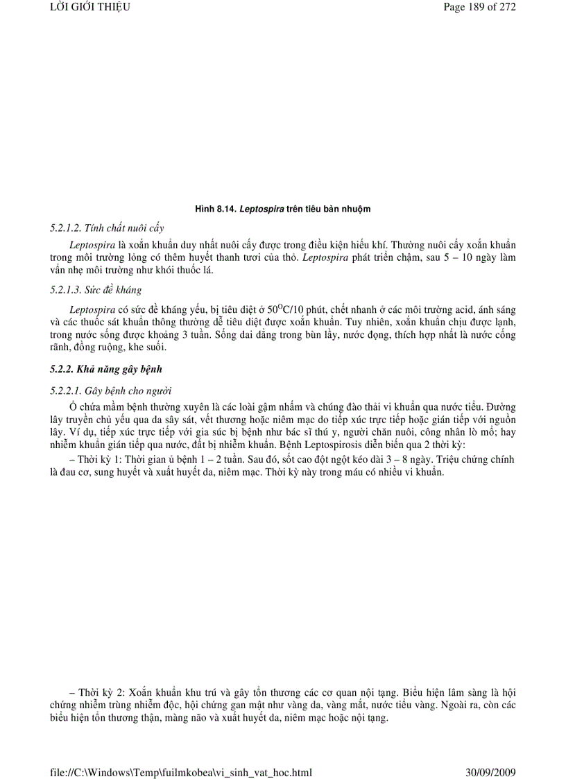 image for page Vi sinh vật học phần 2