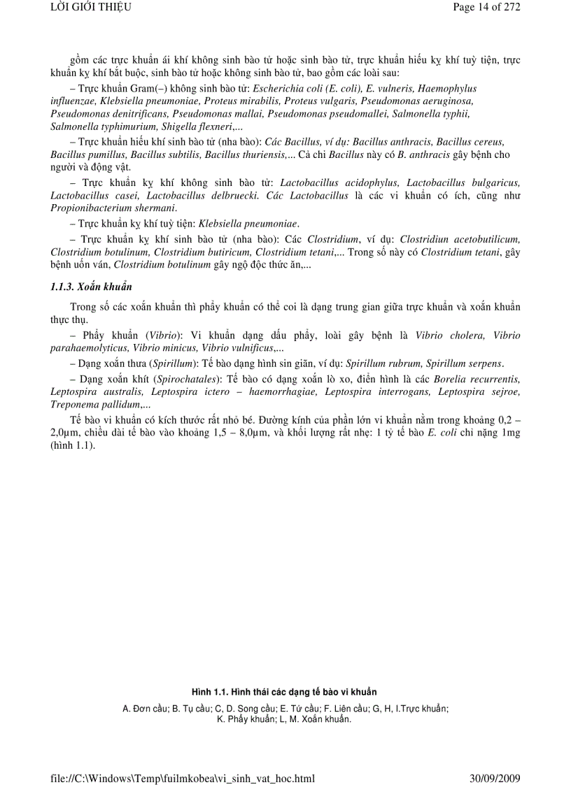 image for page Vi sinh vật học phần 1