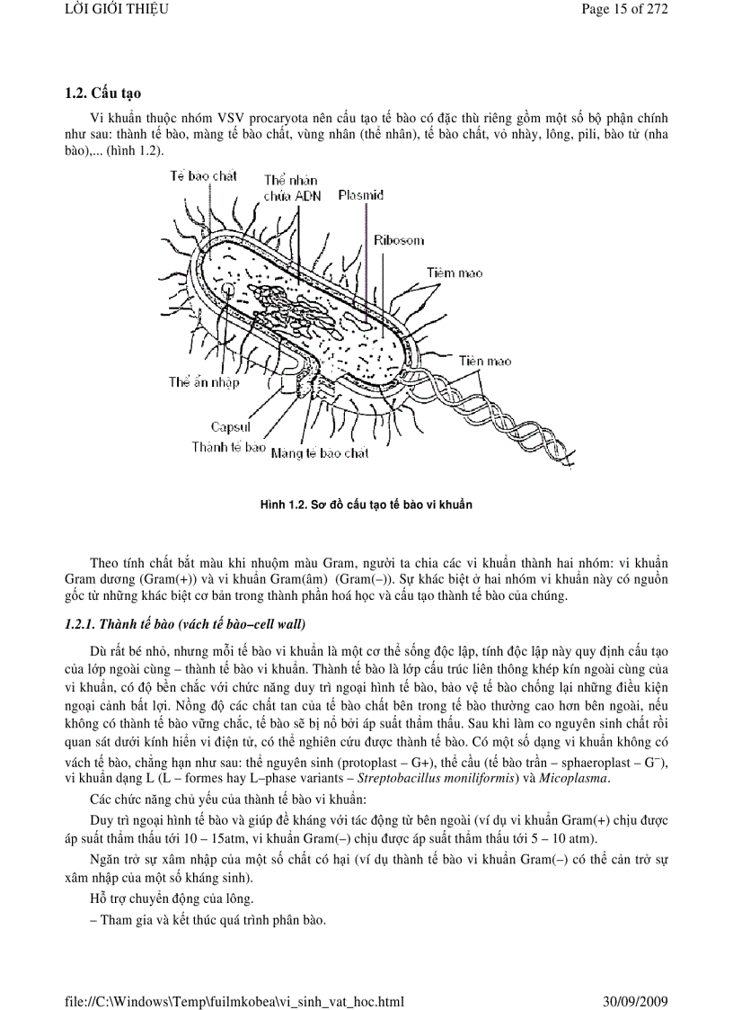 image for page Vi sinh vật học phần 1