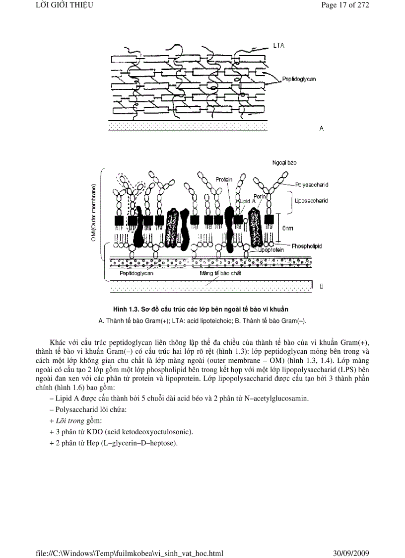 image for page Vi sinh vật học phần 1