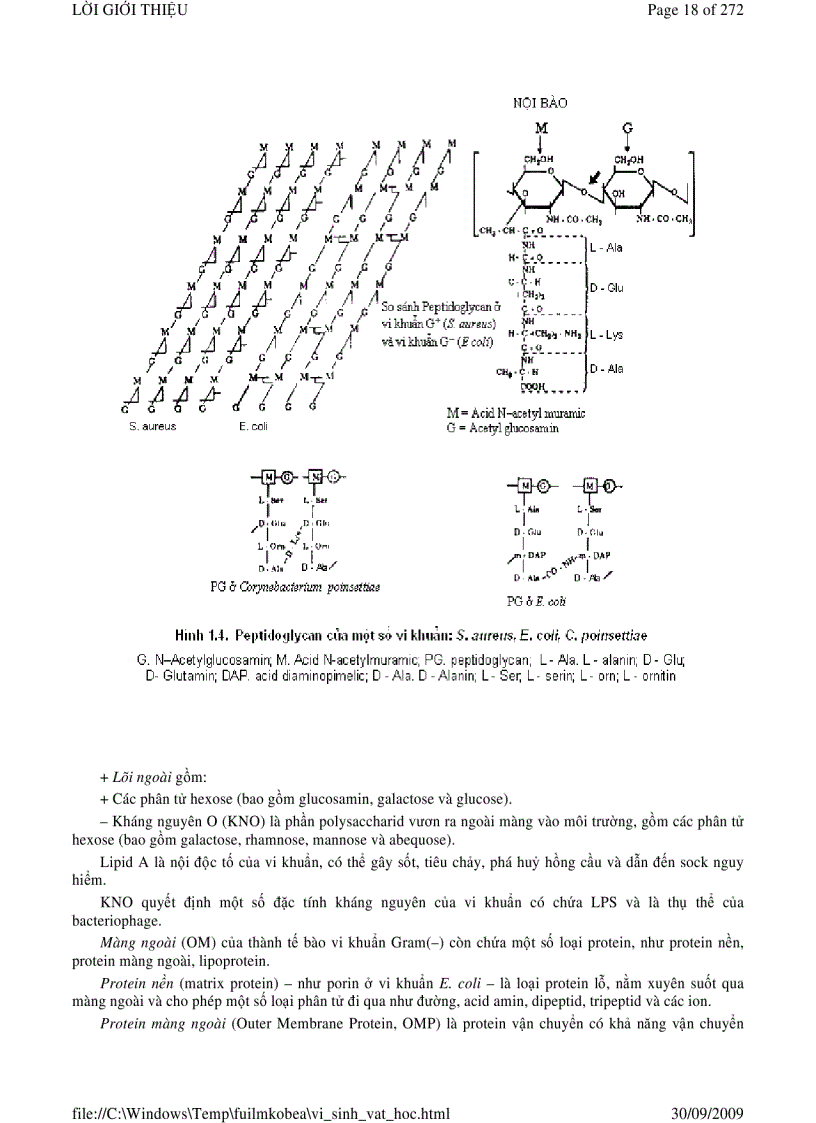 image for page Vi sinh vật học phần 1