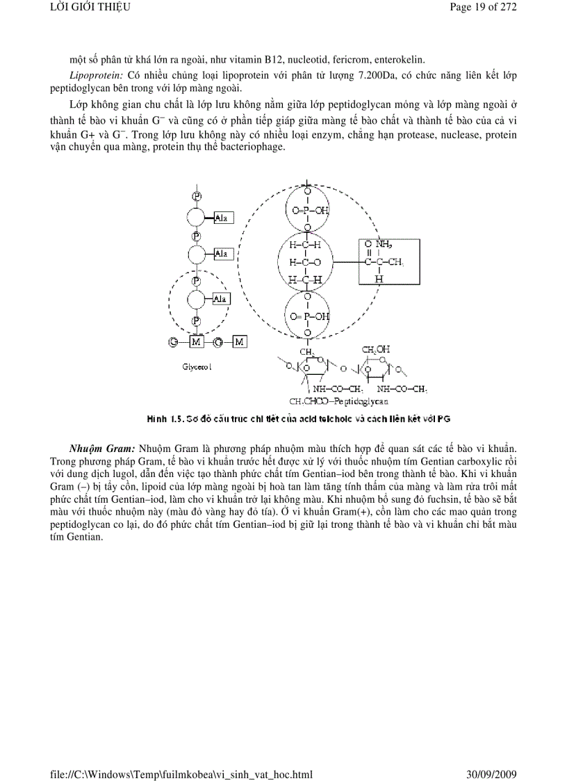 image for page Vi sinh vật học phần 1