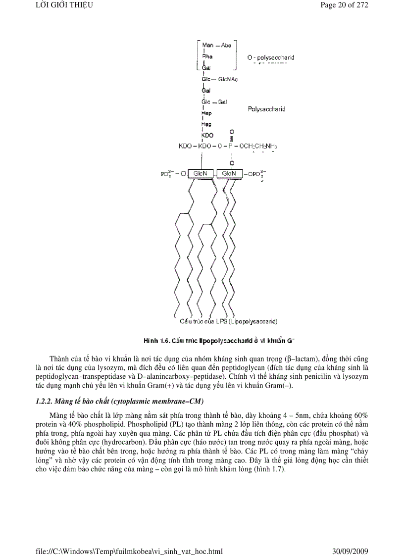 image for page Vi sinh vật học phần 1