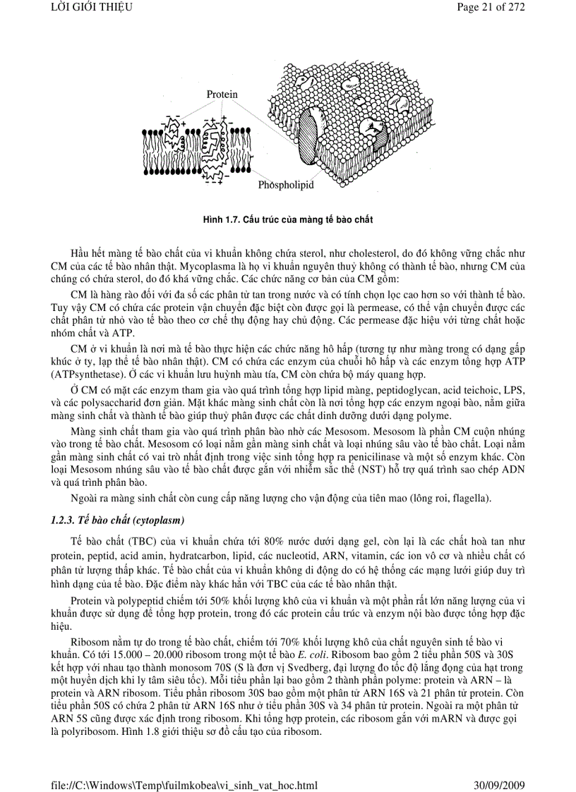 image for page Vi sinh vật học phần 1