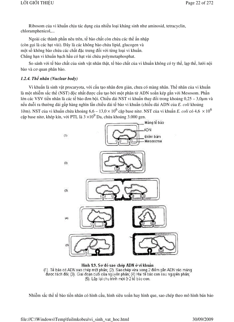 image for page Vi sinh vật học phần 1