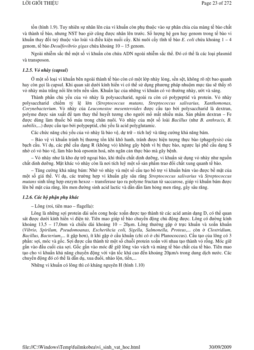 image for page Vi sinh vật học phần 1